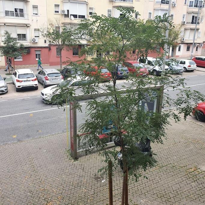 Reformado A Estrenar Sevilla
